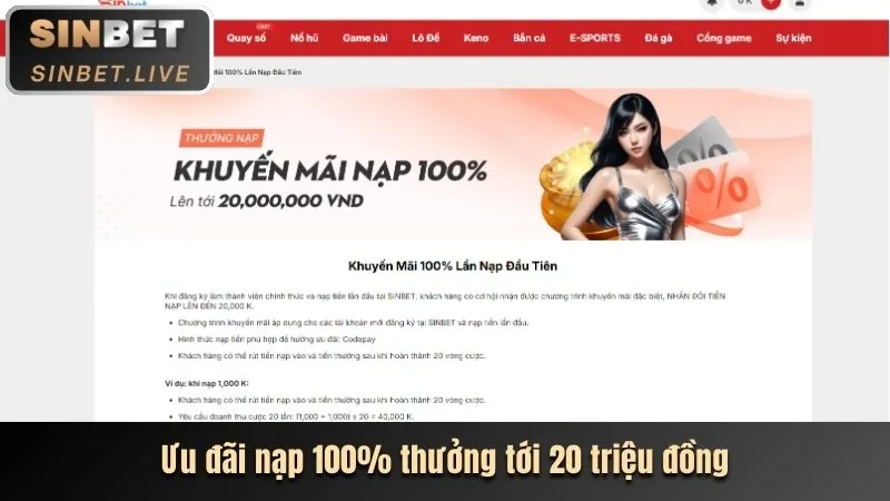 Hoàn trả hàng ngày và hàng tuần
